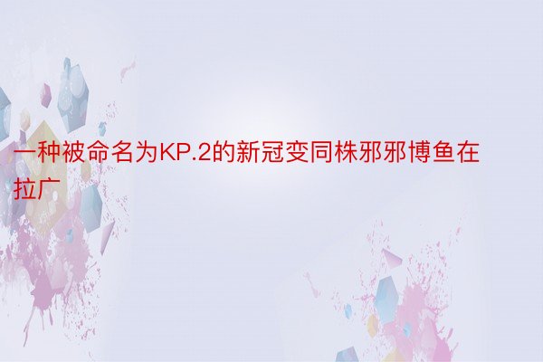 一种被命名为KP.2的新冠变同株邪邪博鱼在拉广